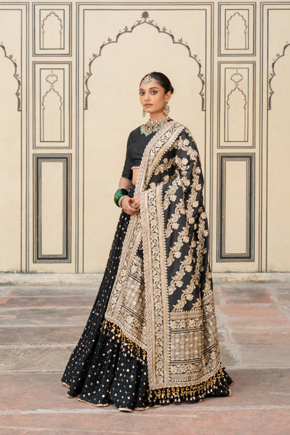 Kalini Lehenga Set - Anjanase