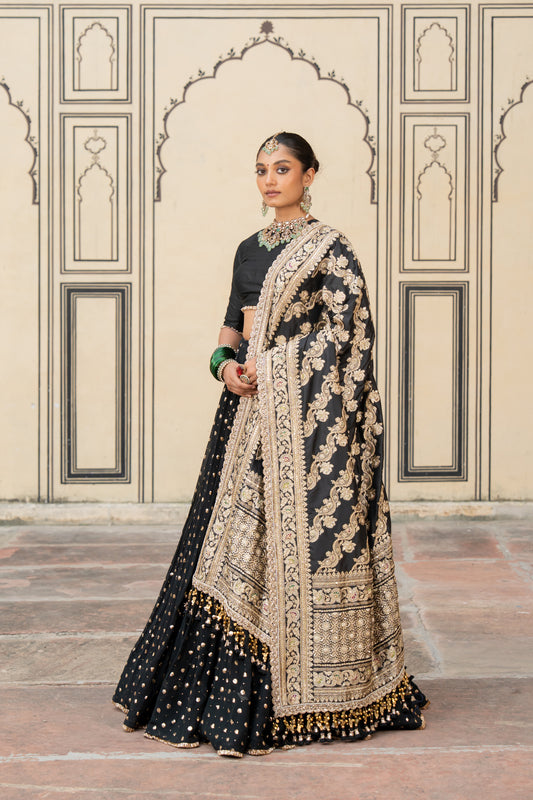 Kalini Lehenga Set - Anjanase