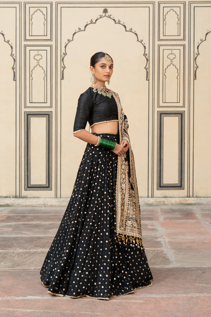 Kalini Lehenga Set - Anjanase