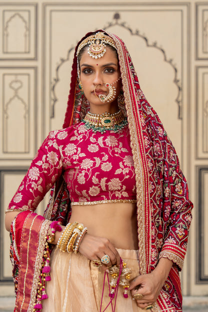 Revati Lehenga Set - Anjanase