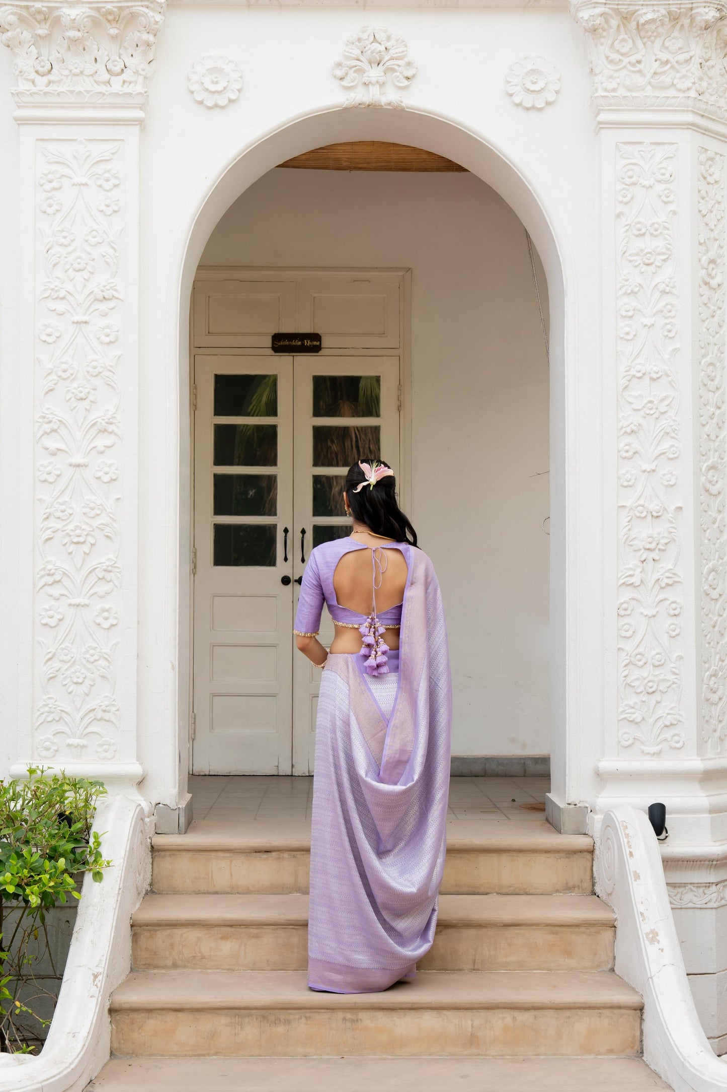 Lily Saree