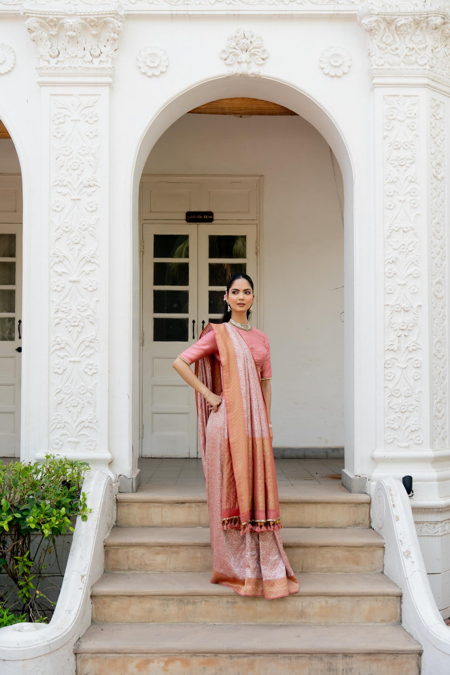 Daisy Saree