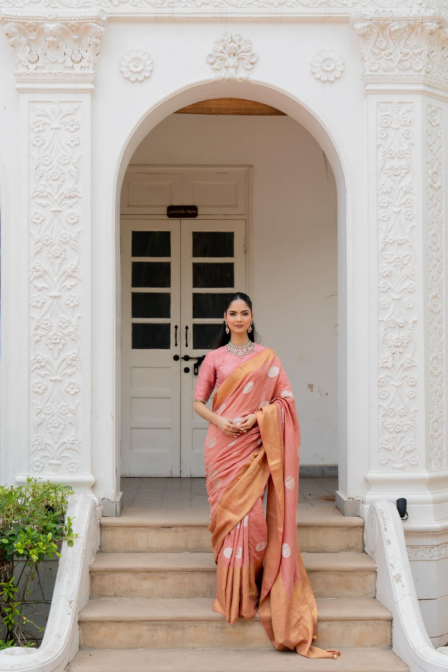 Zarin Saree
