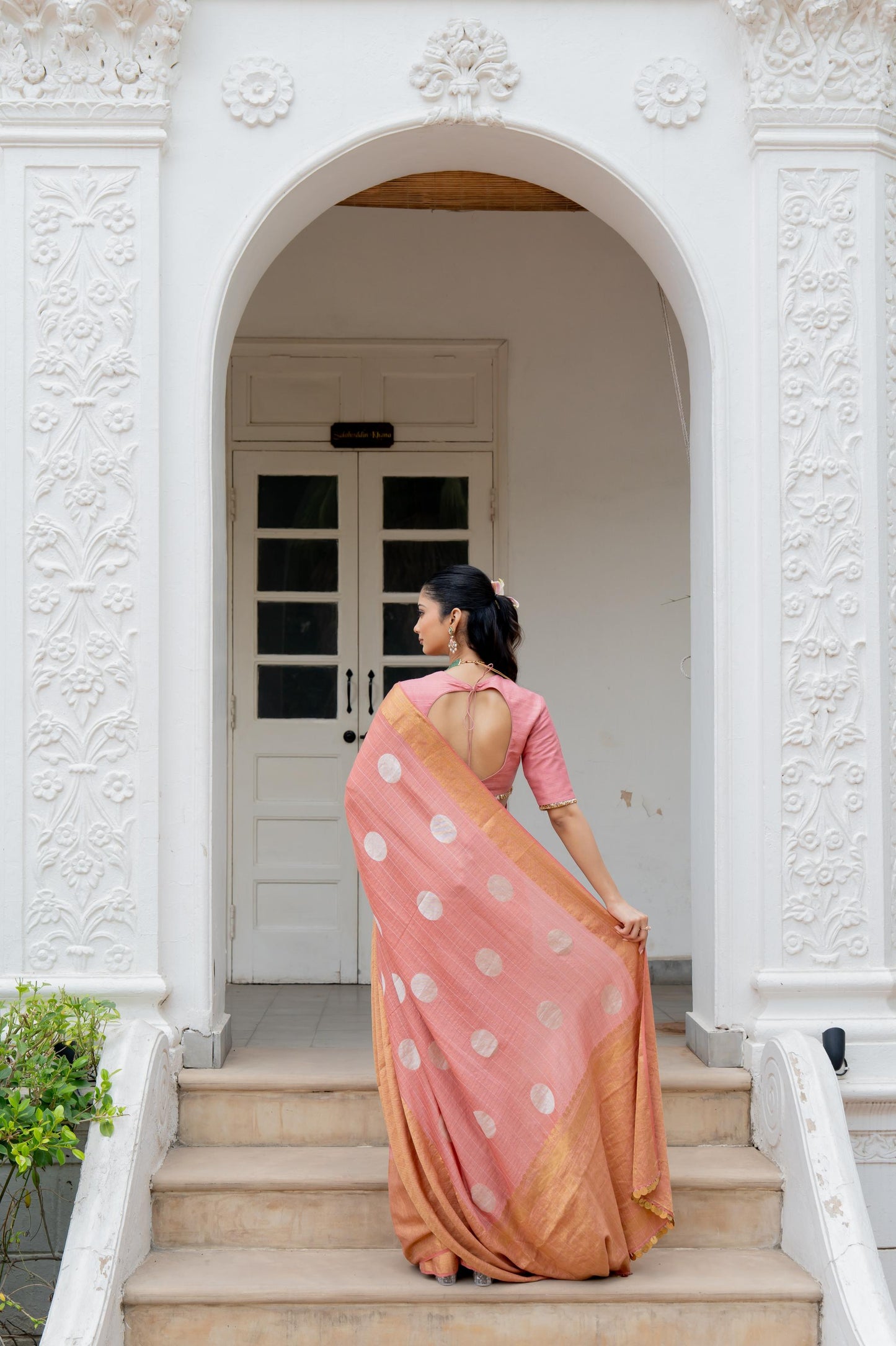 Zarin Saree