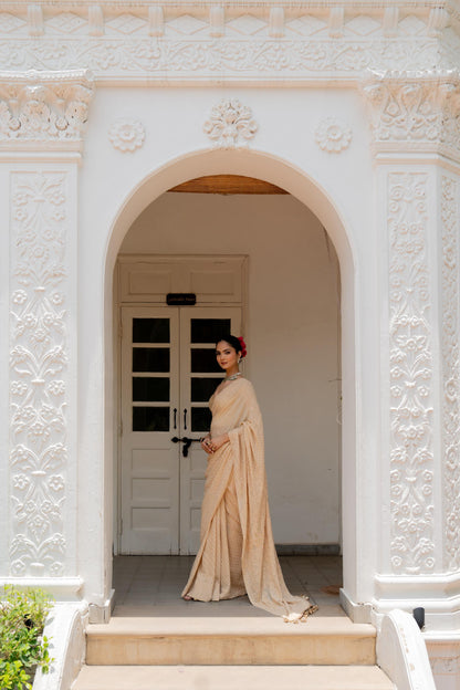 Ruhani Saree