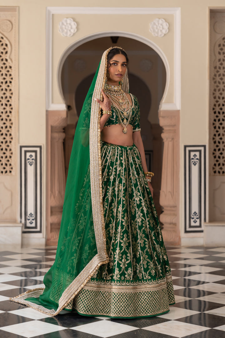 Pashmina Lehenga Set