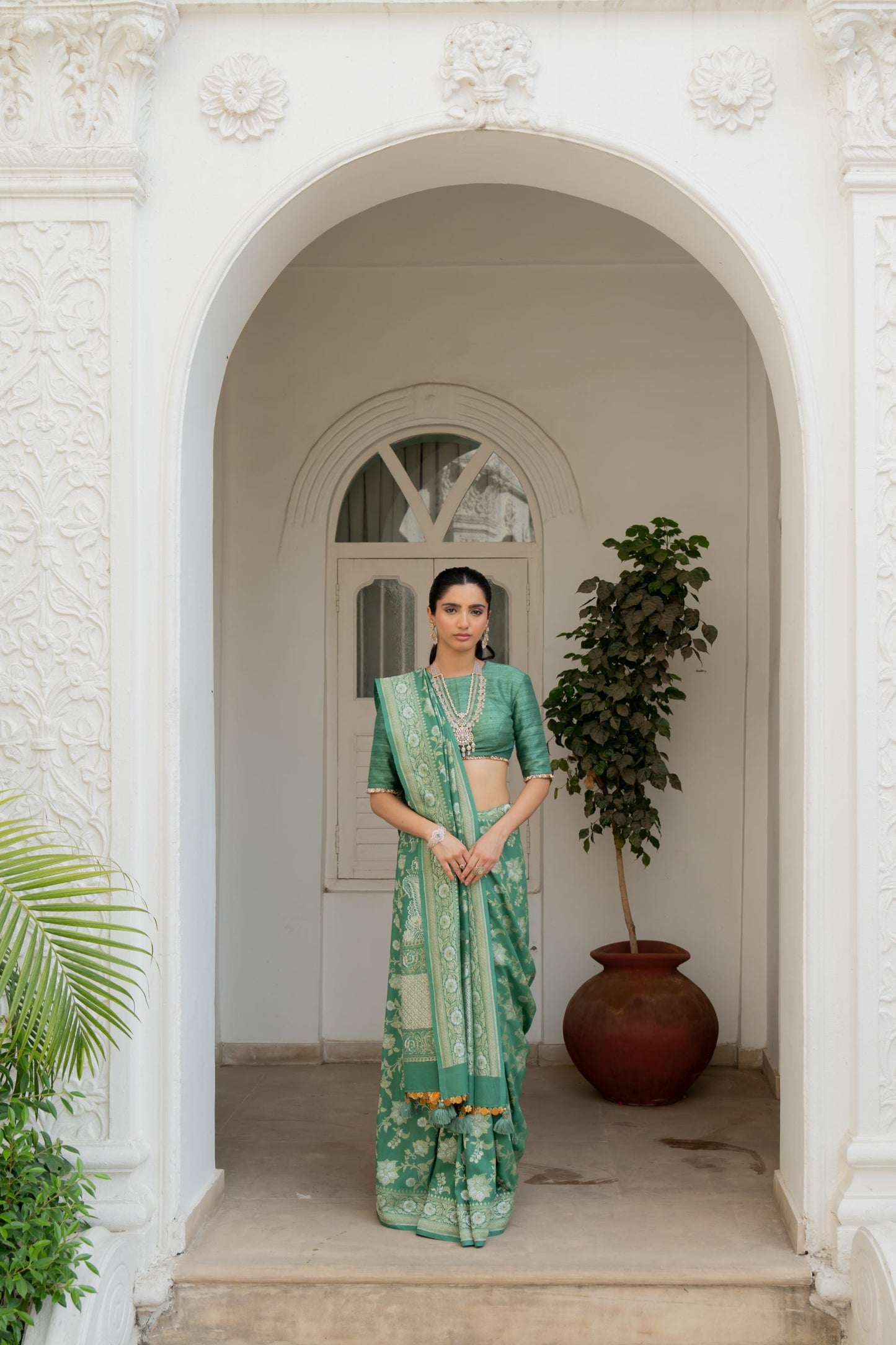 Vaani Saree