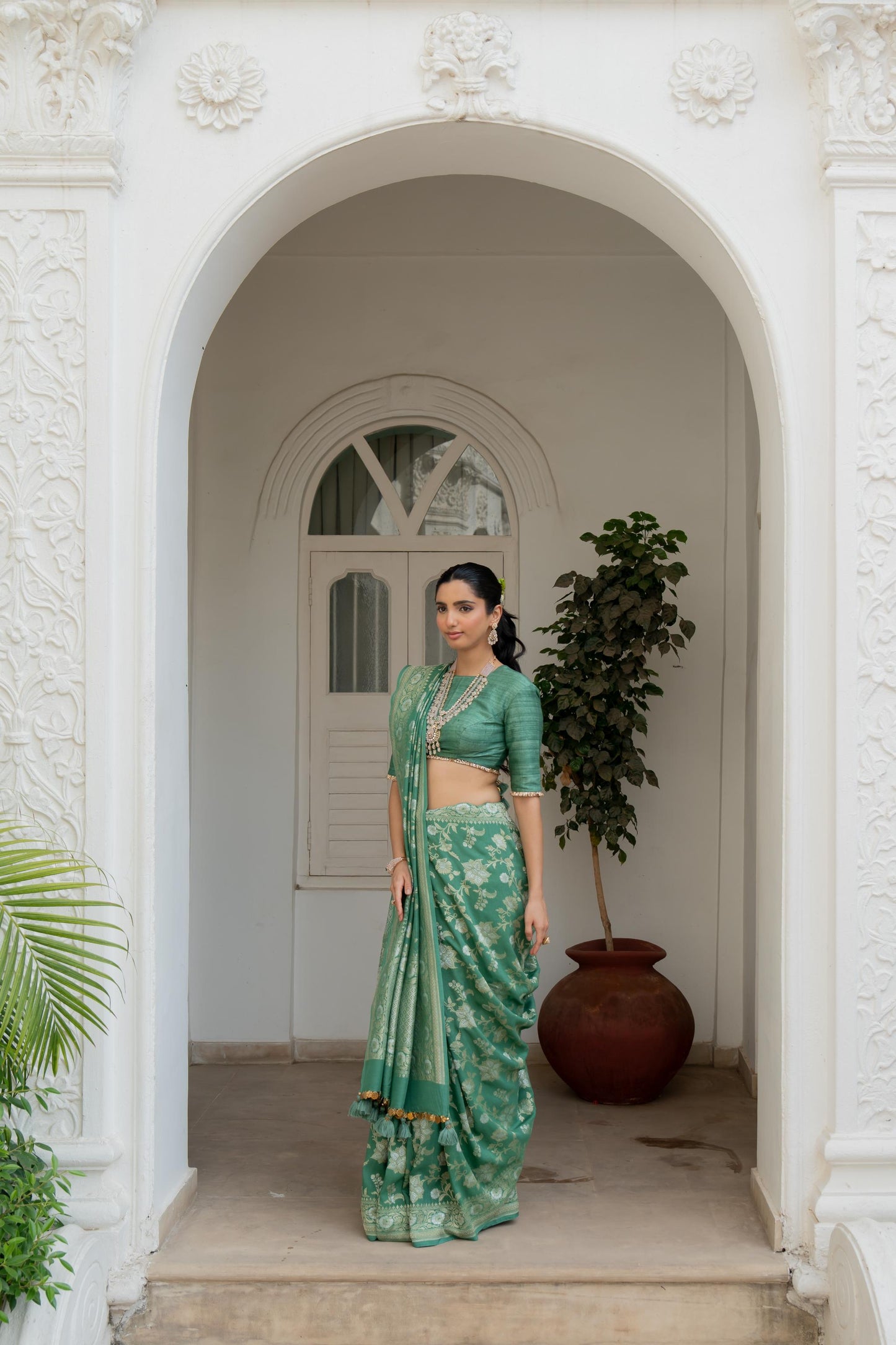 Vaani Saree