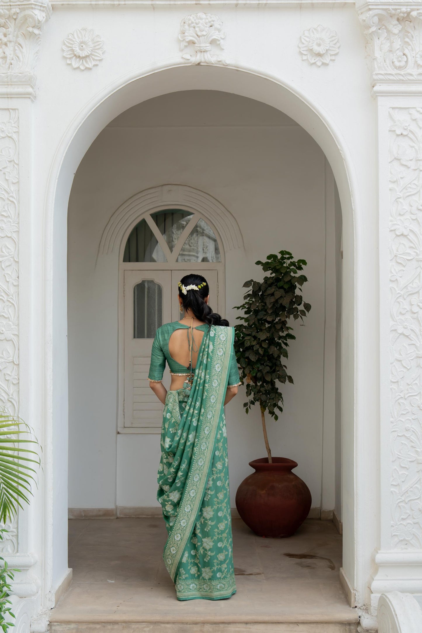 Vaani Saree
