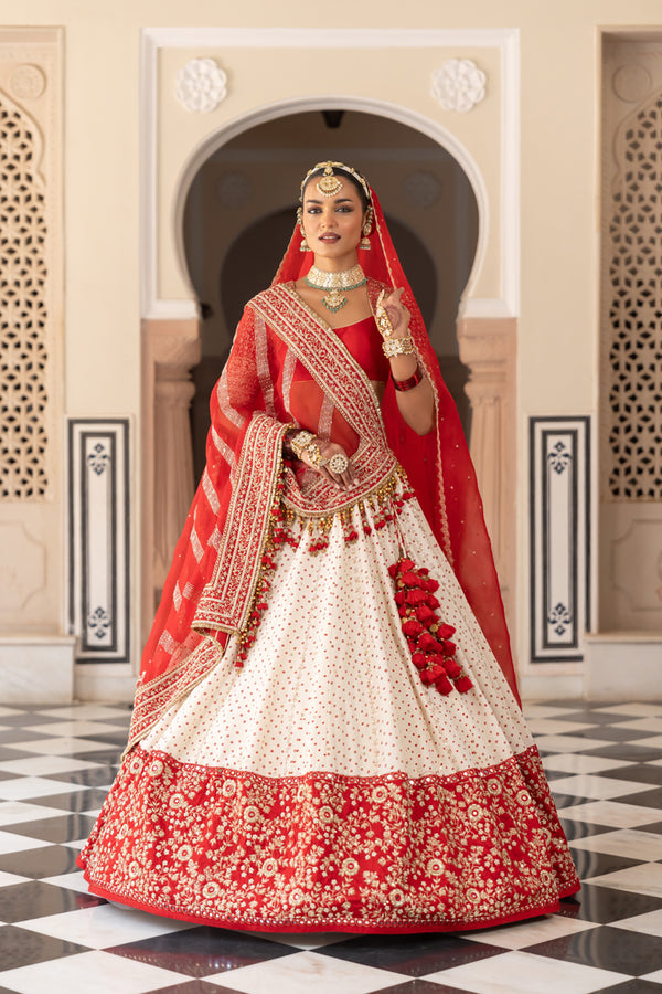 Dvija Lehenga set