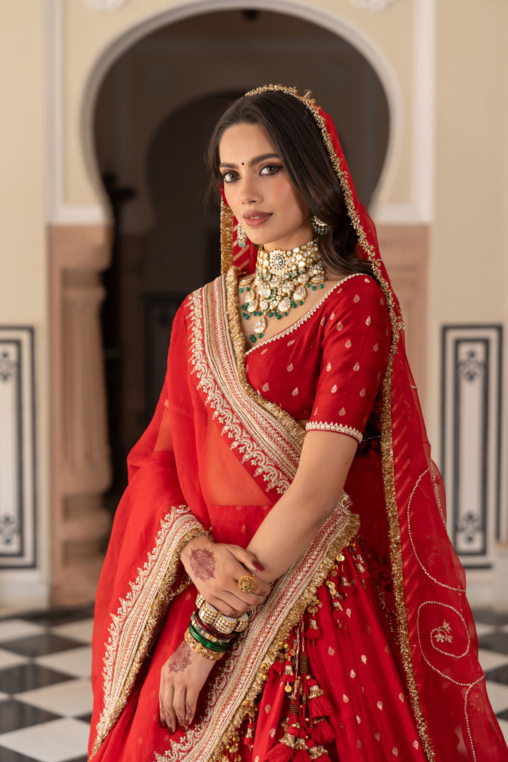 Shinata Lehenga Set
