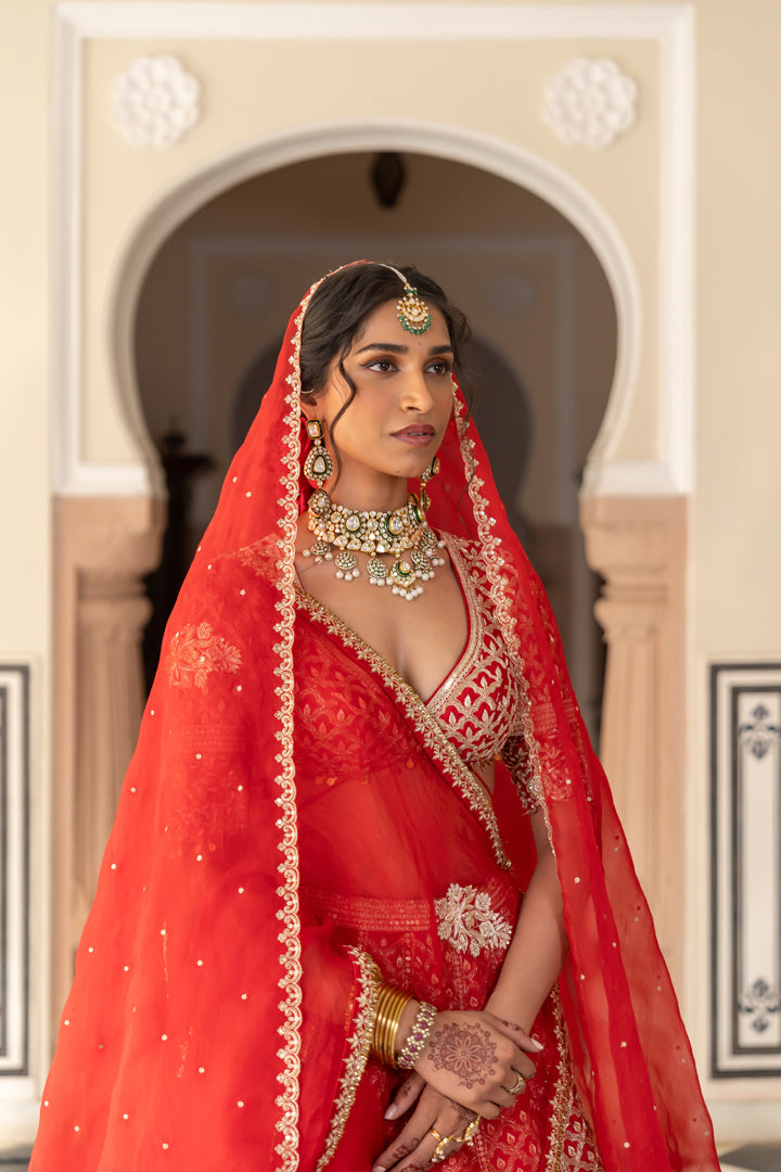 Anushree lehenga set