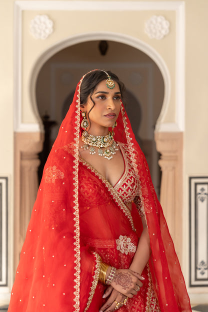 Anushree lehenga set