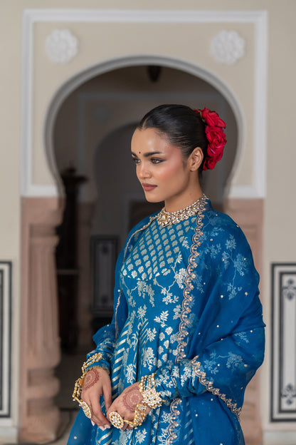 Vaani Anarkali Set