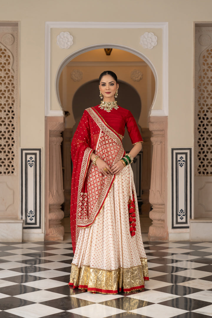 Mohini Lehenga Set