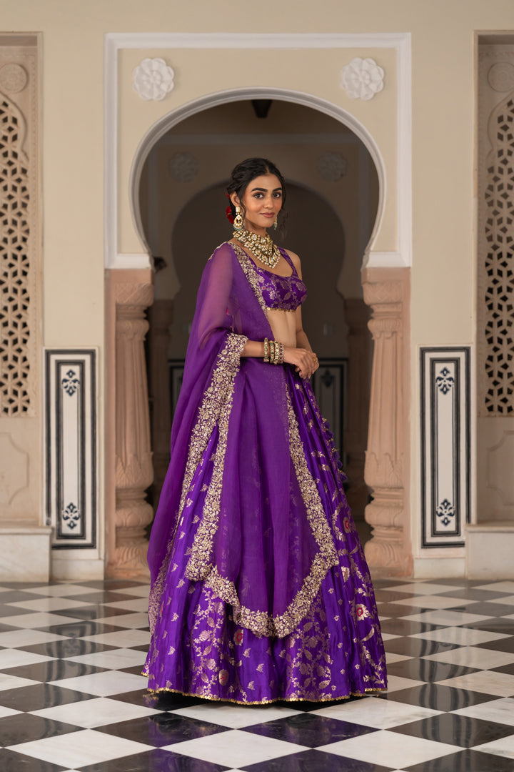 Vibhuti Lehenga Set