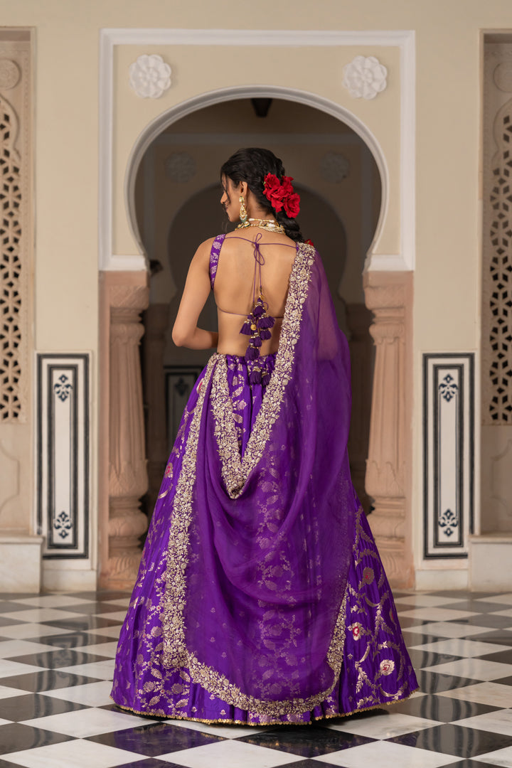 Vibhuti Lehenga Set