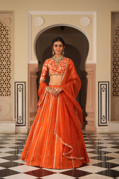 Aaliyah lehenga set
