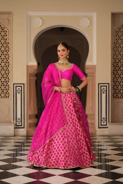 Yamini Lehenga set