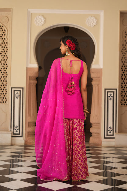 Vedika Sharara Set