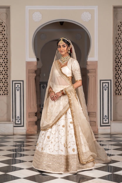 Manavi Lehenga Set