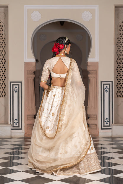 Manavi Lehenga Set