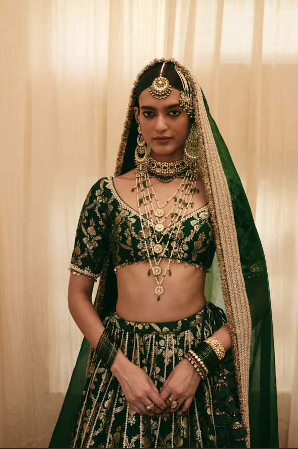 Pashmina Lehenga Set - Anjanase