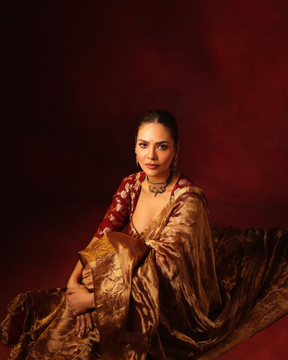 Esha Gupta Saree