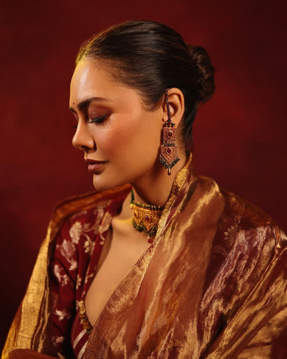 Esha Gupta Saree