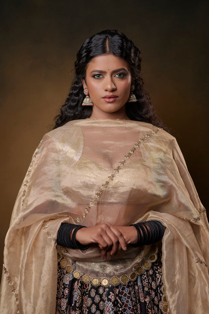 Qala Lehenga Set