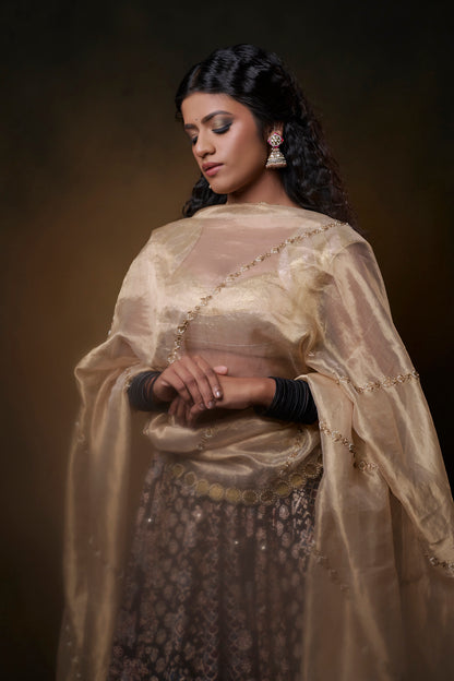 Qala Lehenga Set