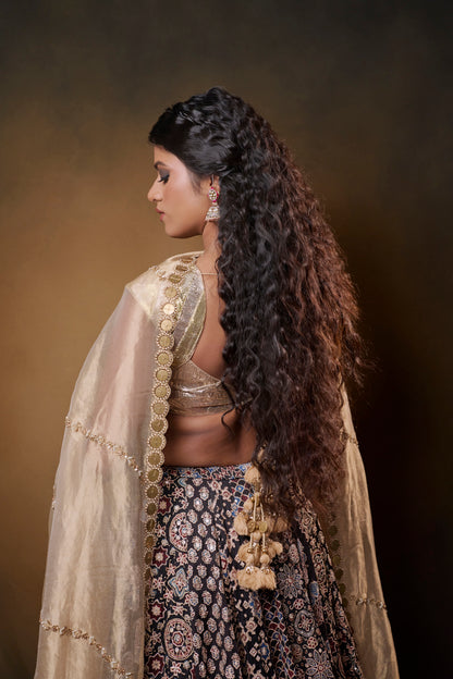 Qala Lehenga Set