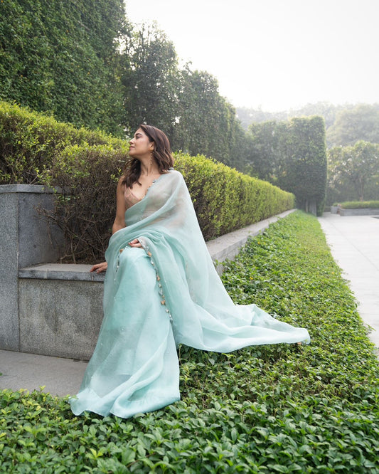 Organza saree