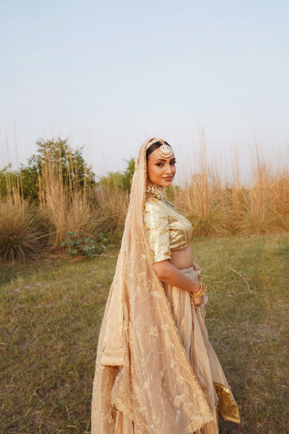 Amulya Lehenga Set