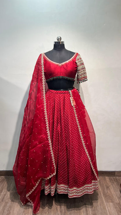 Ruhaani Lehenga Set