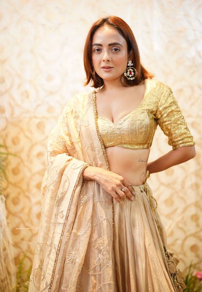 Danica Moadi Lehenga Set