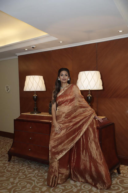 Geeta Basra - Dharini Saree