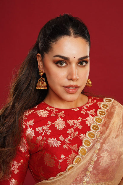 Naila Grrewal - Saanvi Saree