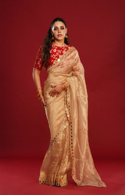 Naila Grrewal - Saanvi Saree
