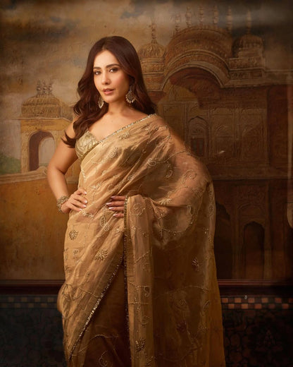 Raashii Khanna Saree