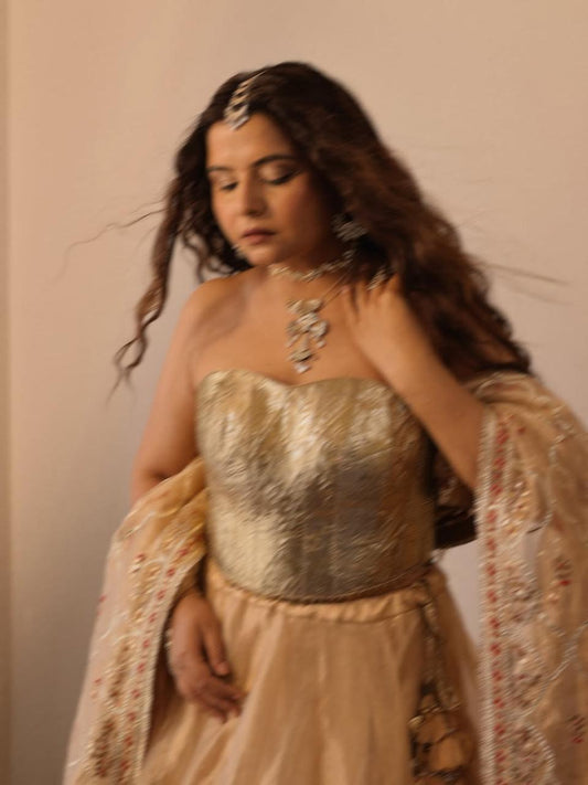 Radhika Bhardwaj Lehenga Set